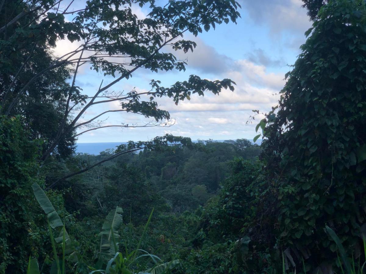 Papaya Wildlife Lodge Cahuita Exterior photo