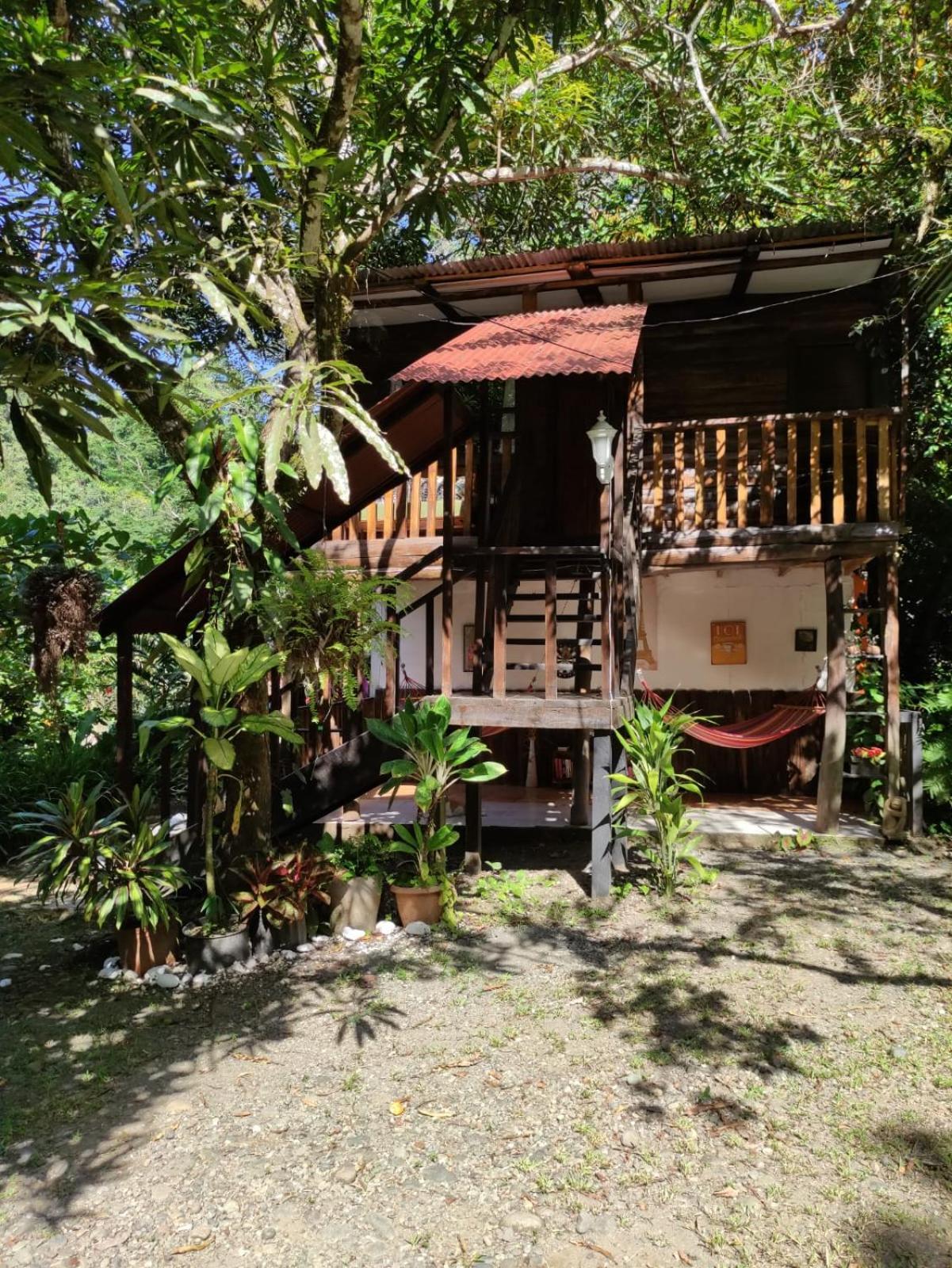 Papaya Wildlife Lodge Cahuita Exterior photo