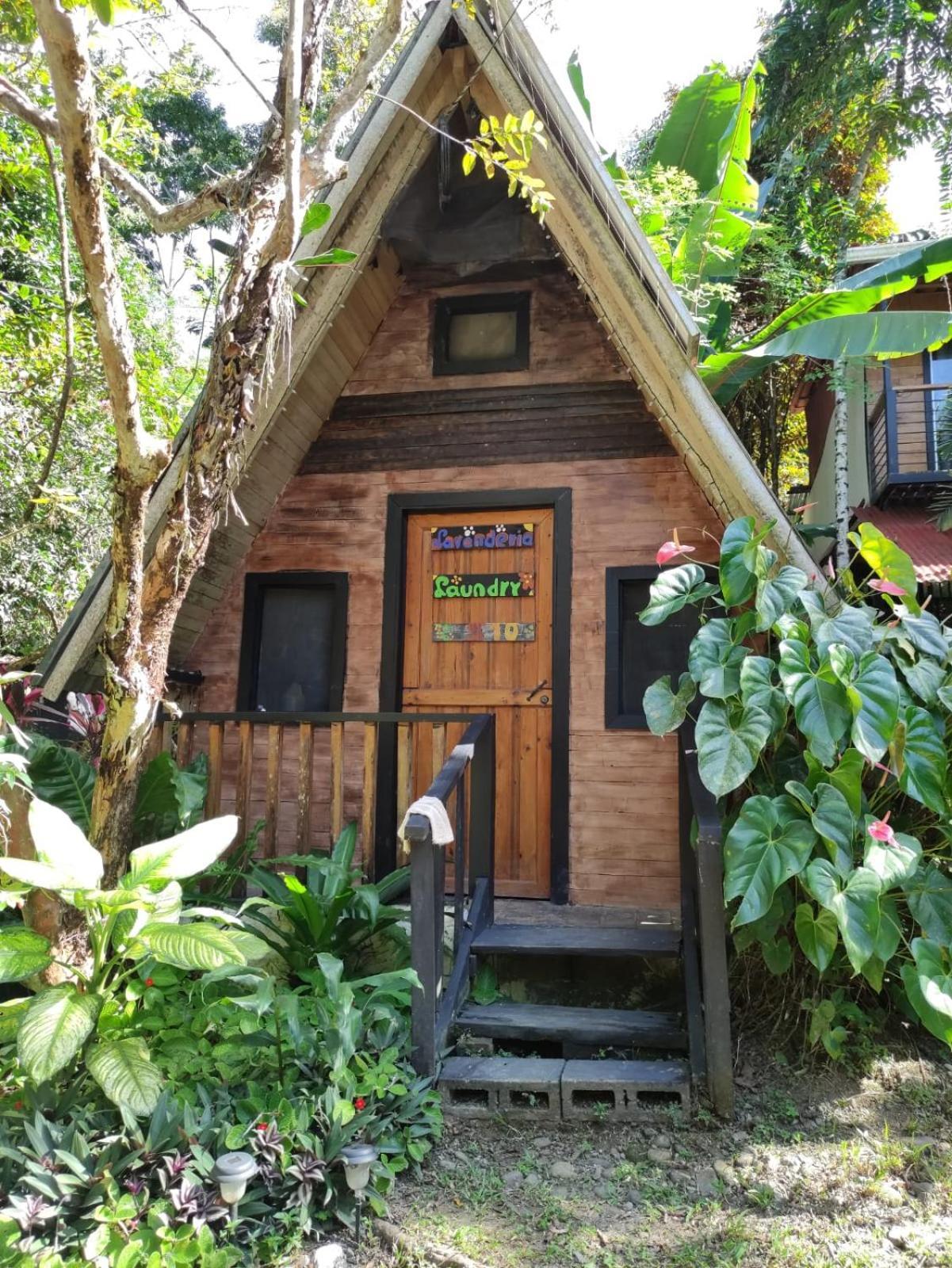 Papaya Wildlife Lodge Cahuita Exterior photo