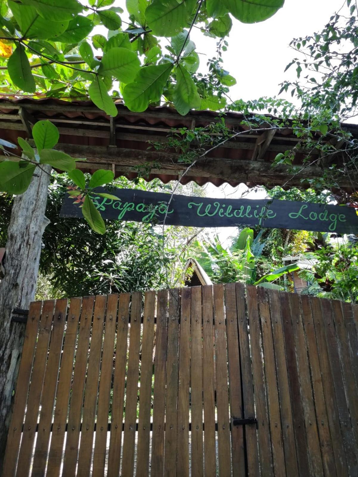 Papaya Wildlife Lodge Cahuita Exterior photo