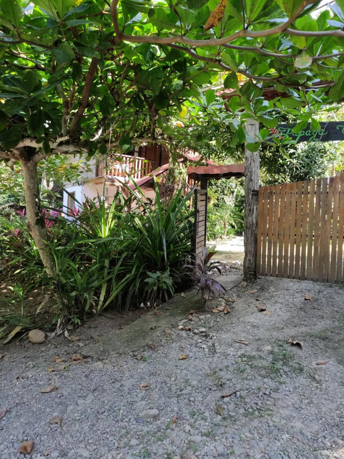 Papaya Wildlife Lodge Cahuita Exterior photo