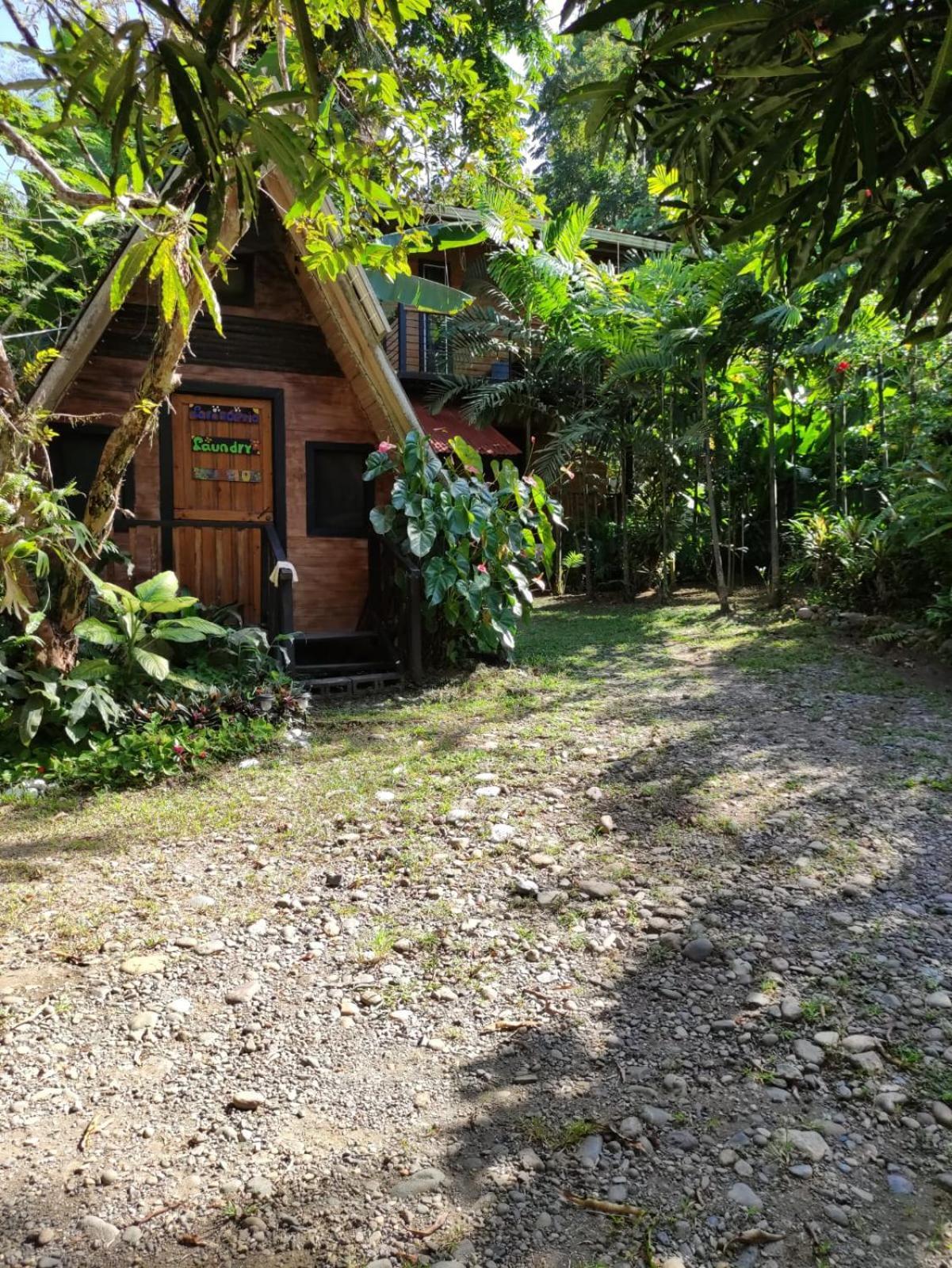 Papaya Wildlife Lodge Cahuita Exterior photo