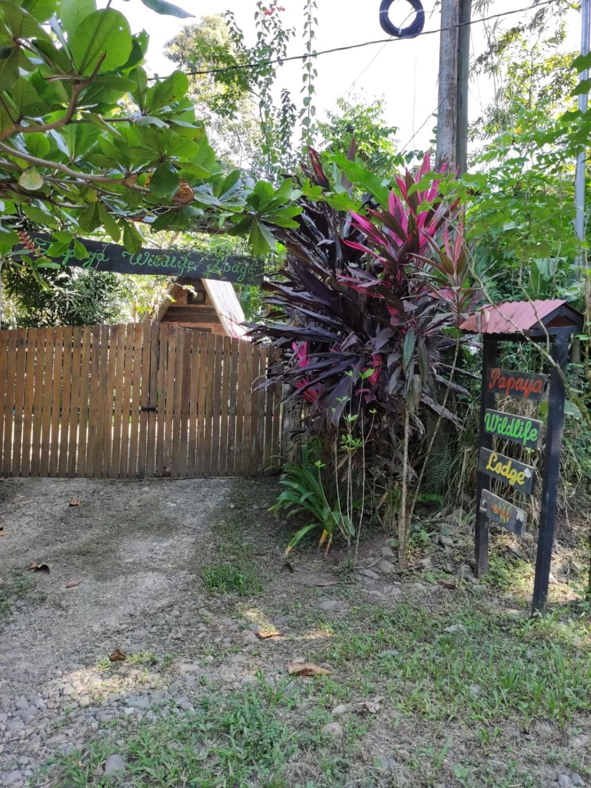 Papaya Wildlife Lodge Cahuita Exterior photo