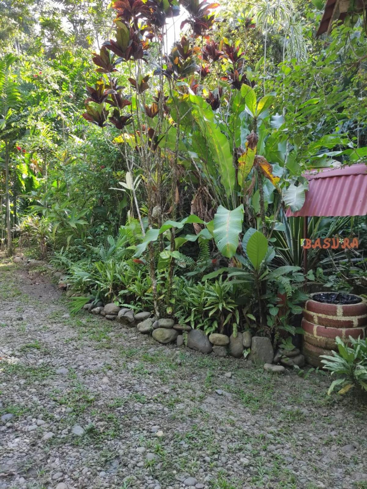 Papaya Wildlife Lodge Cahuita Exterior photo