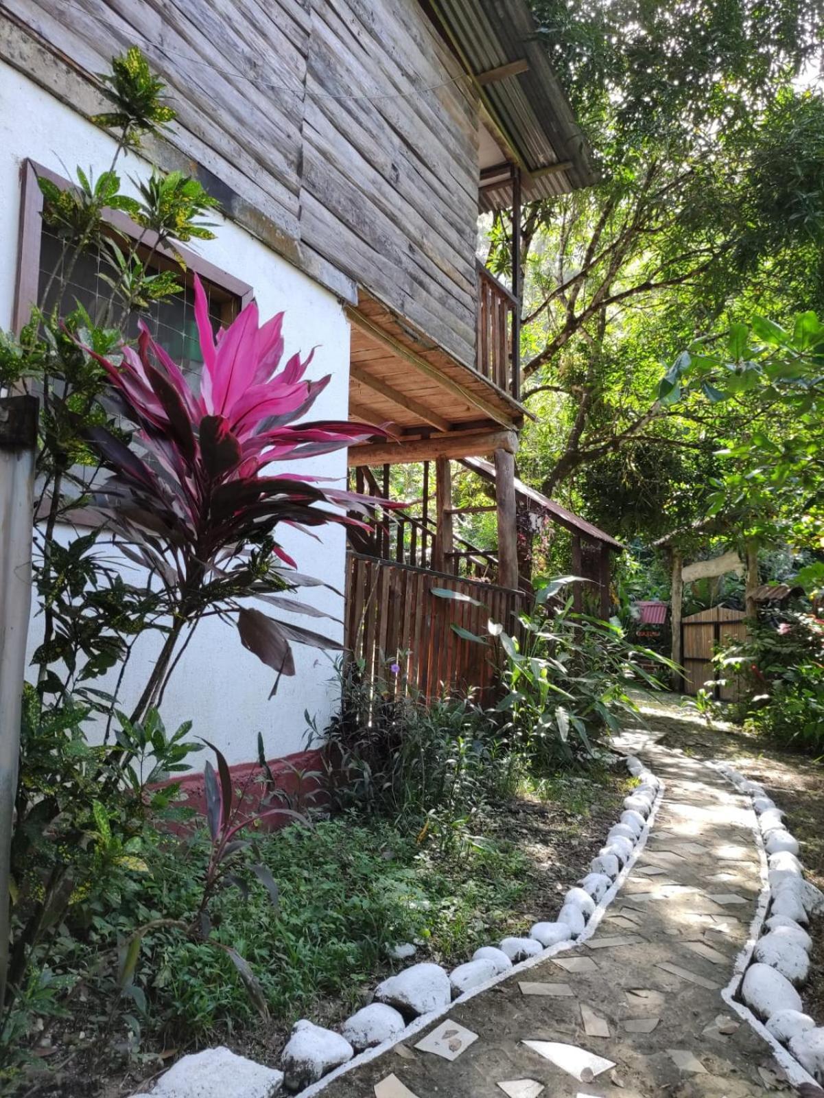 Papaya Wildlife Lodge Cahuita Exterior photo