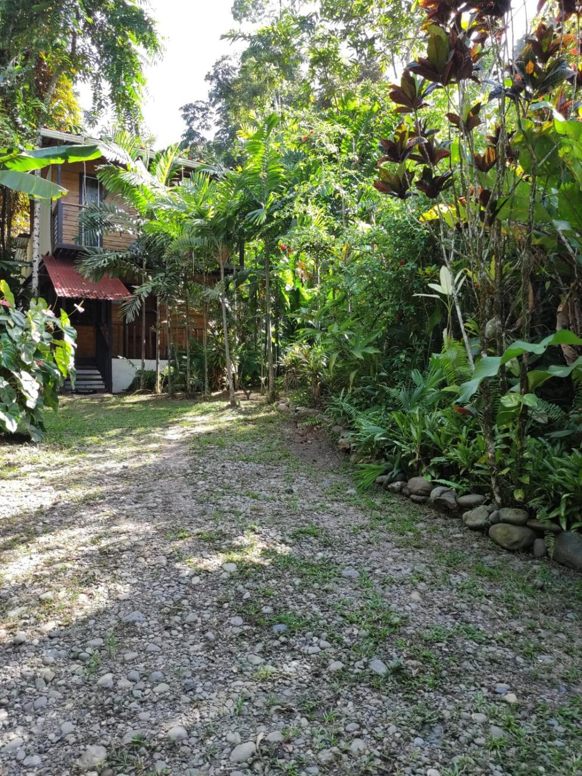 Papaya Wildlife Lodge Cahuita Exterior photo