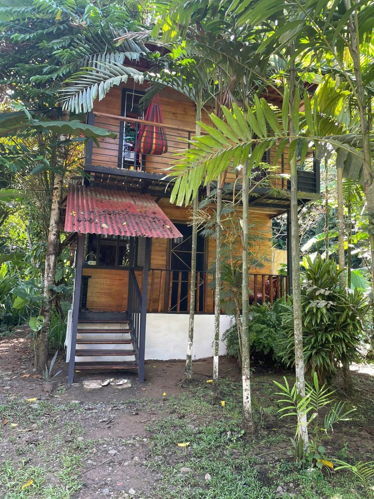 Papaya Wildlife Lodge Cahuita Exterior photo